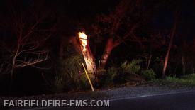 Burning tree on Camp Gettysburg Rd tonight.