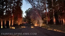 Carr Hill Rd - Update
