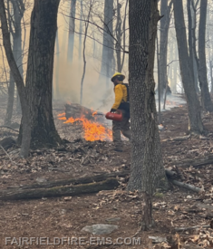 Fire Danger Is MODERATE - Please be careful.